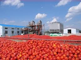 کمبود قوطی برای صادرات رب گوجه فرنگی مشکل کارخانه‌های خراسان رضوی