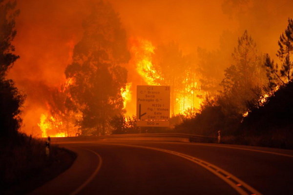 ادامه موج گرما در اروپا و وقوع آتش‌سوزی‌های جنگلی در پرتغال
