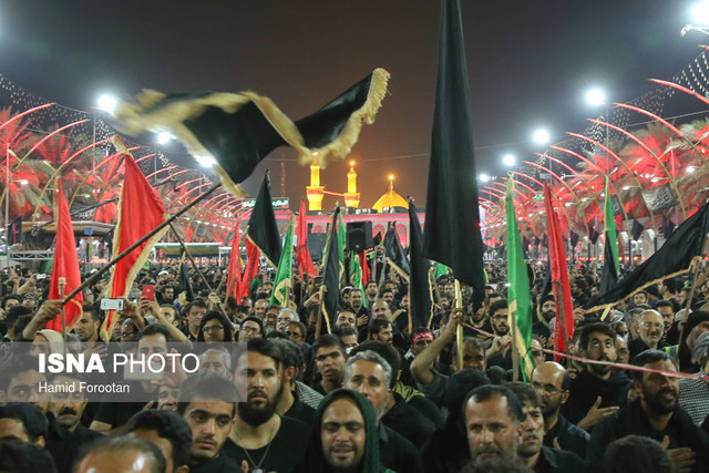 حیدری: هزینه روادید اربعین کاهش نیافته است/هزینه روادید ۴۱ دلار