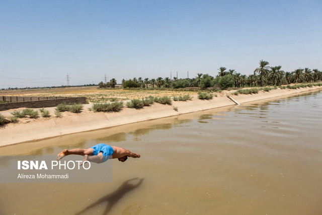 نفرات برگزیده مسابقات شنای پسران در المپیاد ورزشی دانشجویان کشور
