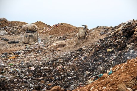 تنها ۱۰ درصد مراکز دفن زباله شهری آذربایجان‌شرقی با مجوزهای زیست‌محیطی است
