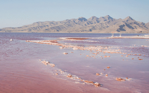 حق‌آبه۳۵۰ میلیون مترمکعبی؛ بدهی وزارت نیرو به دریاچه ارومیه