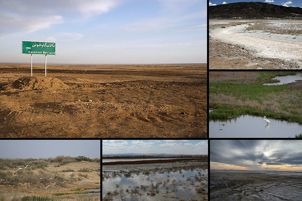 اختصاص اعتبار برای مقابله با خشکسالی در برخی زیستگاه‌ها وتالاب‌ها