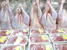 عرضه مرغ آماده طبخ با قیمت ۱۰ هزار و ۲۵۰ تومان در بازار خرده فروشی