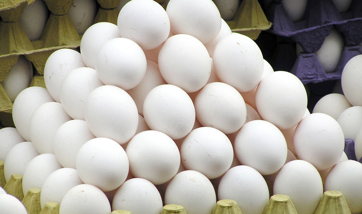 ۲ هزار تن تخم مرغ به کشور وارد شد
