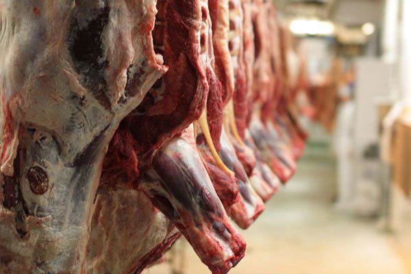 توزیع صددرصدی گوشت‌های وارداتی به کاهش قیمت گوشت قرمز منجر می‌شود