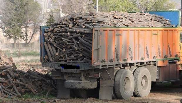 کامیون‌های حامل چوب فاقد مجوز، توقیف می‌شوند