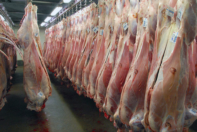تولید سالیانه بیش از ۸۰۰ تن گوشت قرمز در ایرانشهر