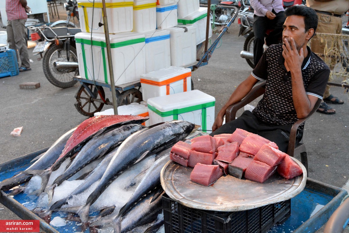 بازار ماهی بسیار متشنج است