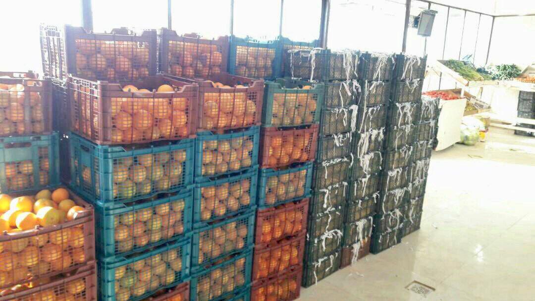 ۷۵۰تن میوه شب عید در سیستان و بلوچستان ذخیره شد