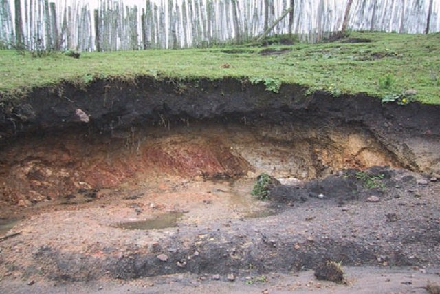 تولید یک سانتی‌متر خاک، حدود ۵۰۰ سال طول می‌کشد