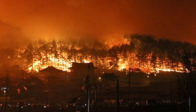 تخلیه هزاران نفر در پی آتش‌سوزی‌های طبیعیِ کره جنوبی