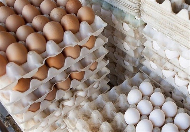آزاد شدن صادرات، تخم مرغ را گران کرد