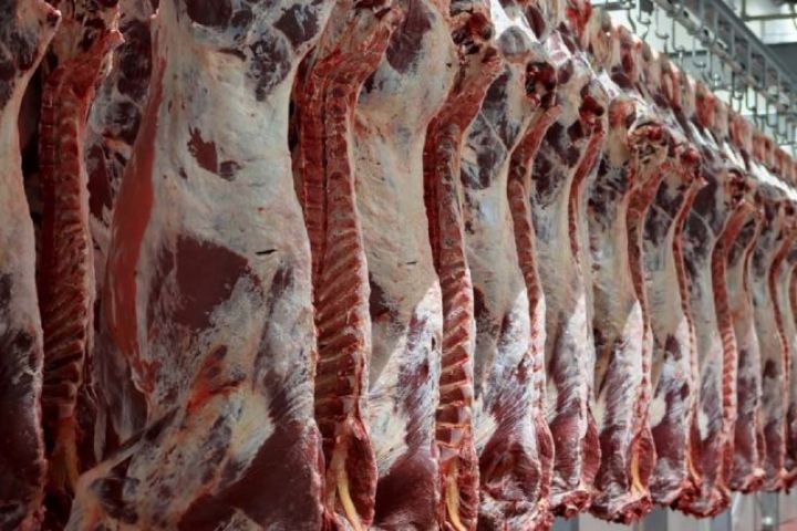 کاهش ۲۳ درصدی تولید گوشت قرمز
