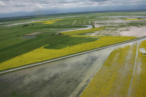 سیلاب ۱۴۲هزار میلیارد ریال به بخش کشاورزی کشور خسارت زد