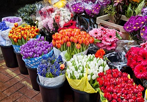 بازار گل در رکود است
