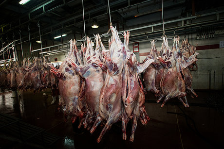 چرا گوشت ۵ دلاری ۱۰۰ هزار تومان فروخته می‌شود