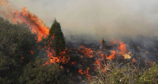 آتش سوزی در شهرستان گچساران