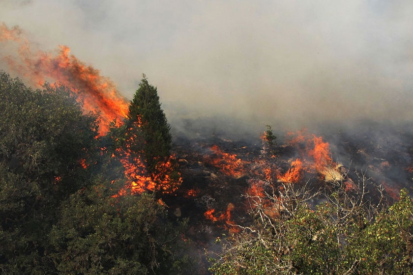 ۴۰ هکتار از جنگلها و مراتع ارتفاعات گچساران در آتش سوخت