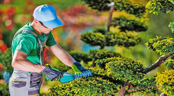 گل فروشی رزلند ویژه خدمات باغبانی تا ۵۰درصد تخفیف