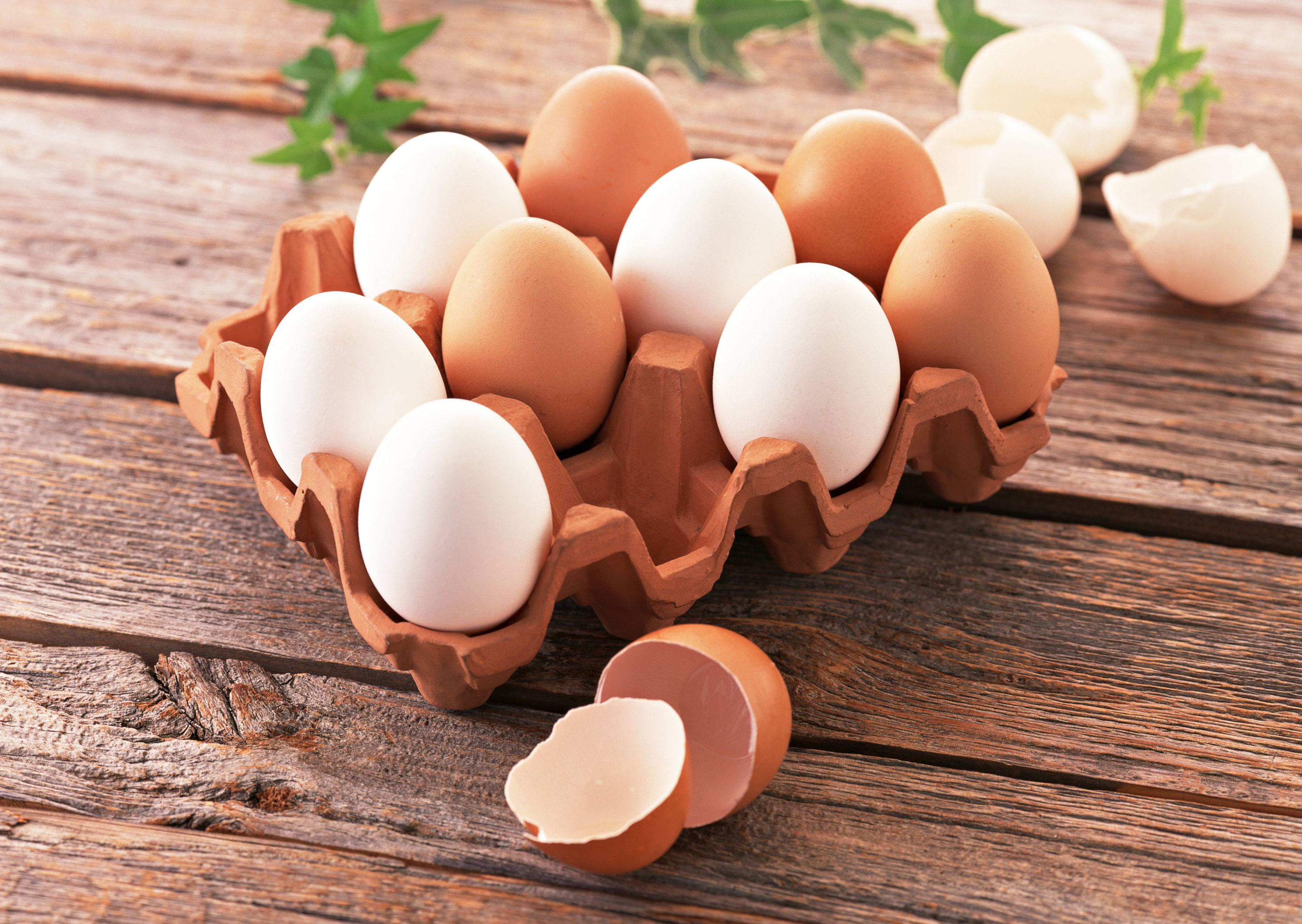 مصرف روزانه یک تخم مرغ سکته مغزی را افزایش نمی دهد