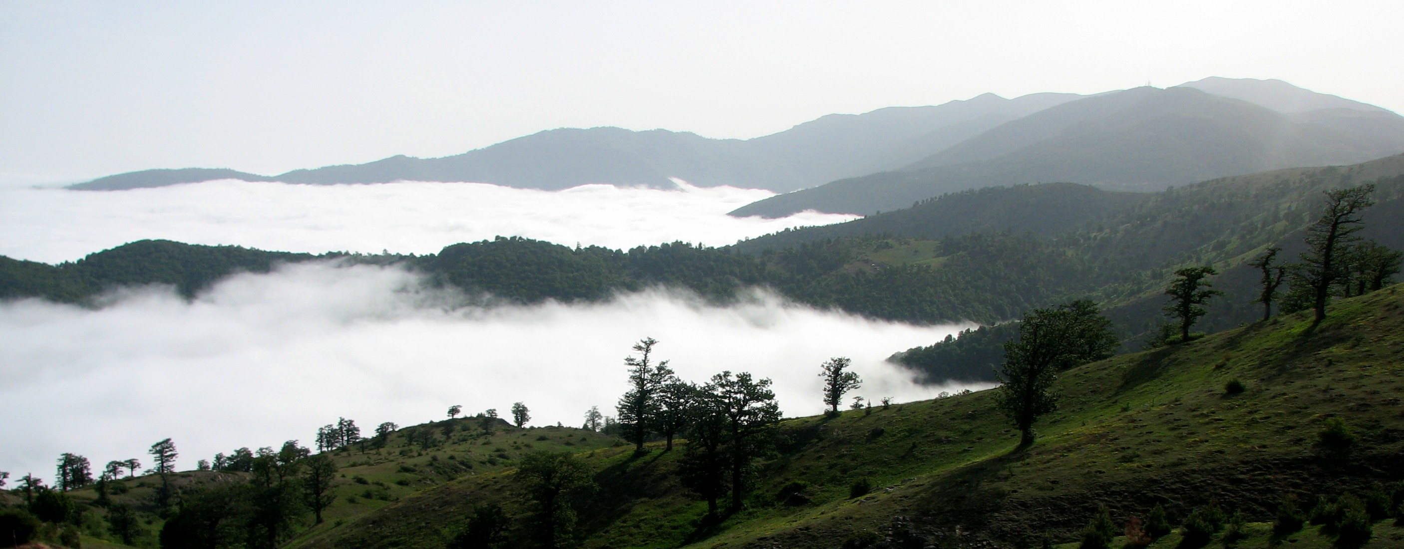 تور ۲ روزه جنگل ابر از آژانس مسافرتی مدیکو سیر با ۲۲درصد تخفیف