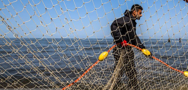 افزایش ۴۴ درصدی صید ماهیان استخوانی در دریای خزر