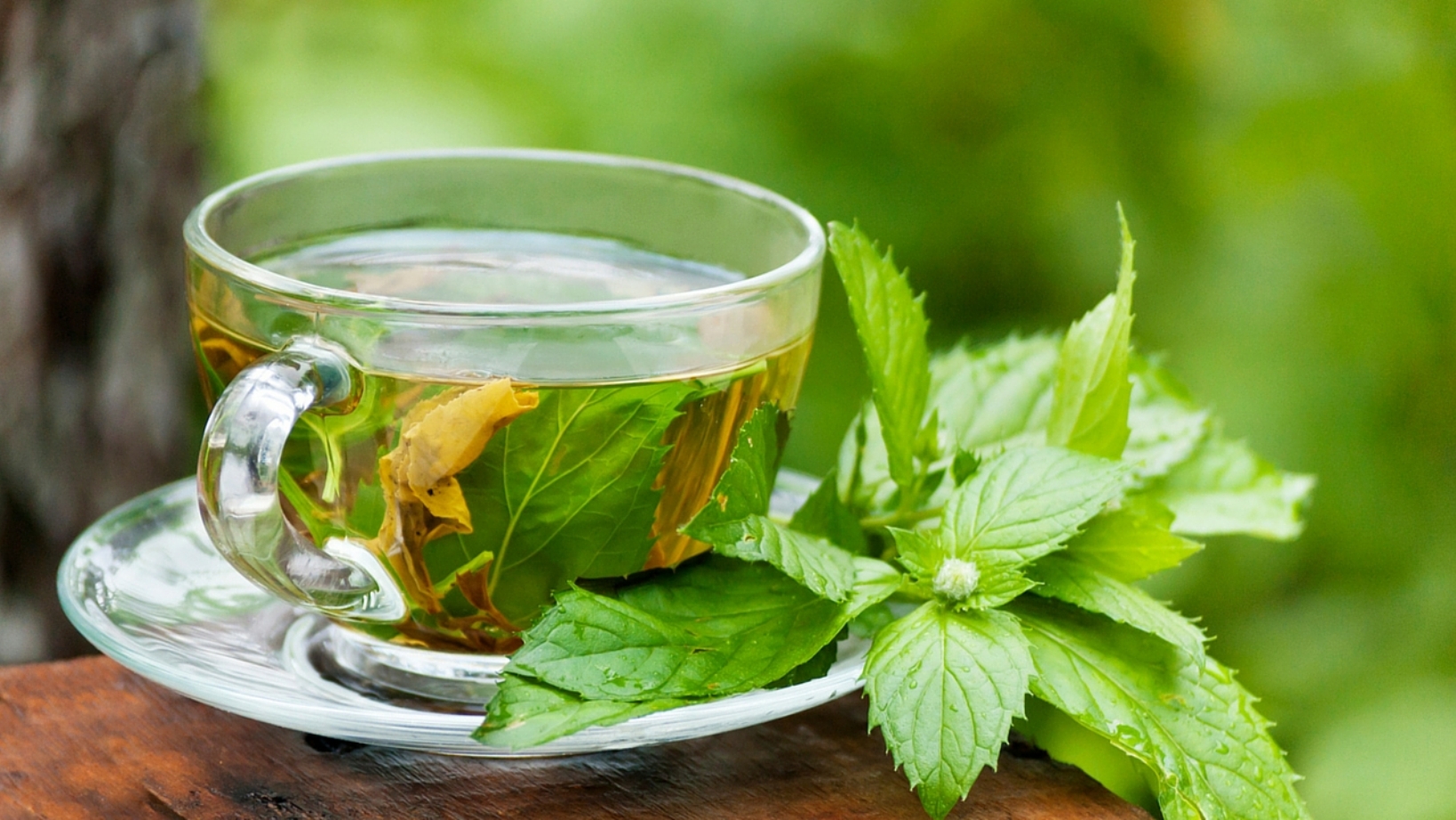 چای سبز چگونه لاغر می‌کند؟