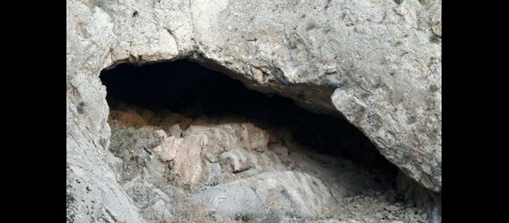 شناسایی سایت فسیلی در پیغمبر کوه آبیک
