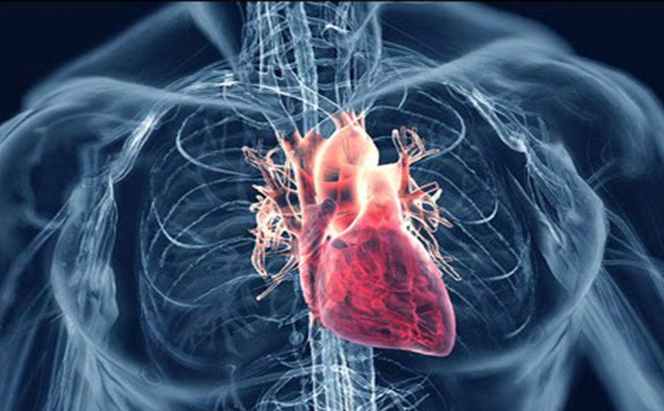 بیماری دریچه قلب؛ دلایل و عوامل خطرآفرین