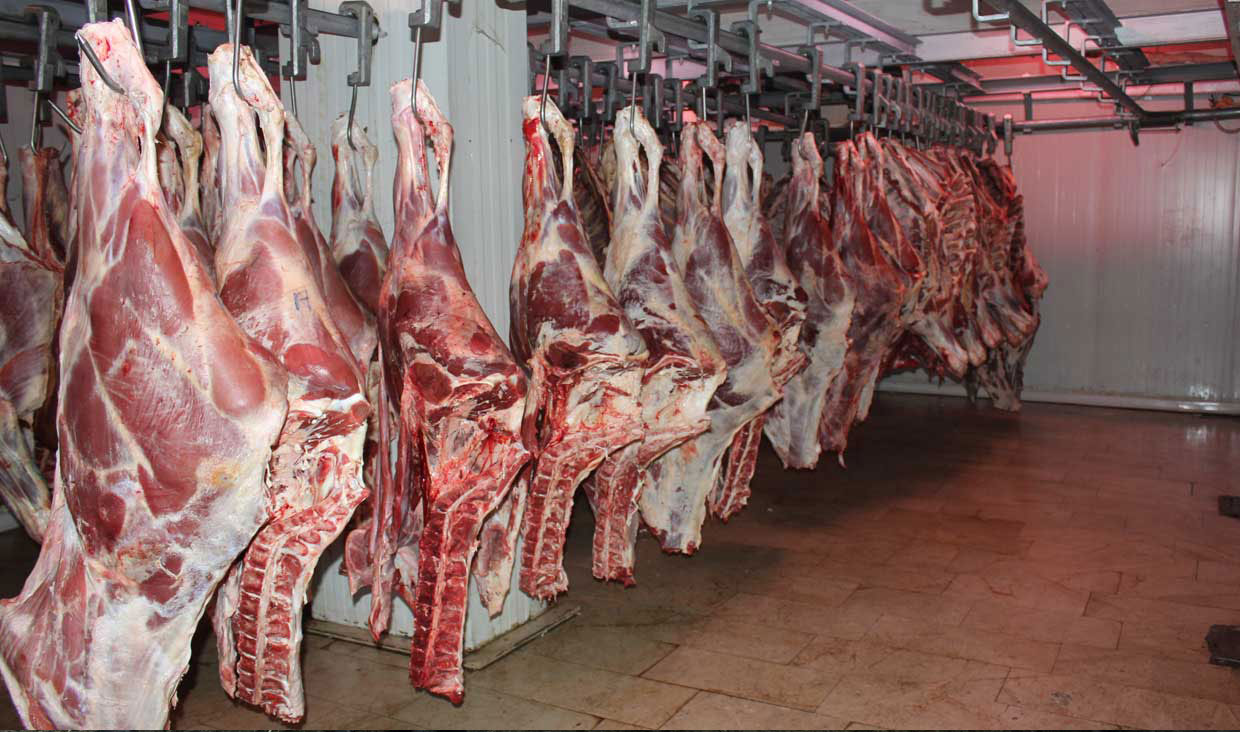 قیمت گوشت قرمز در حال کاهش است
