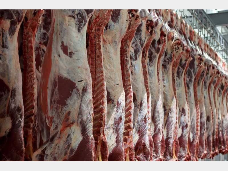 واردات گوشت از پاکستان به سیستان و بلوچستان تفویض شده است