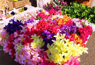 صادرات گل گلدانی به عراق و ترکمنستان