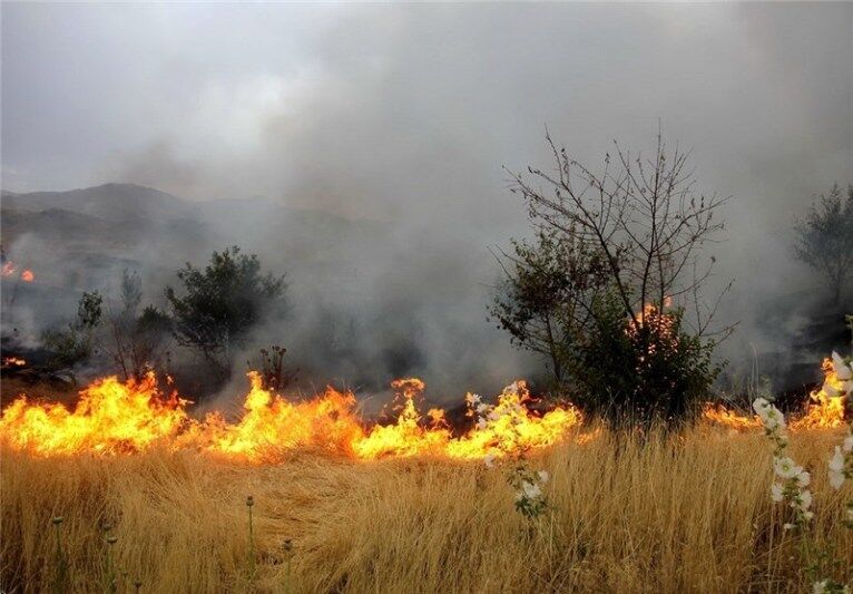 بیش از ۳ هزار مترمربع از اراضی راویز رفسنجان در آتش سوخت