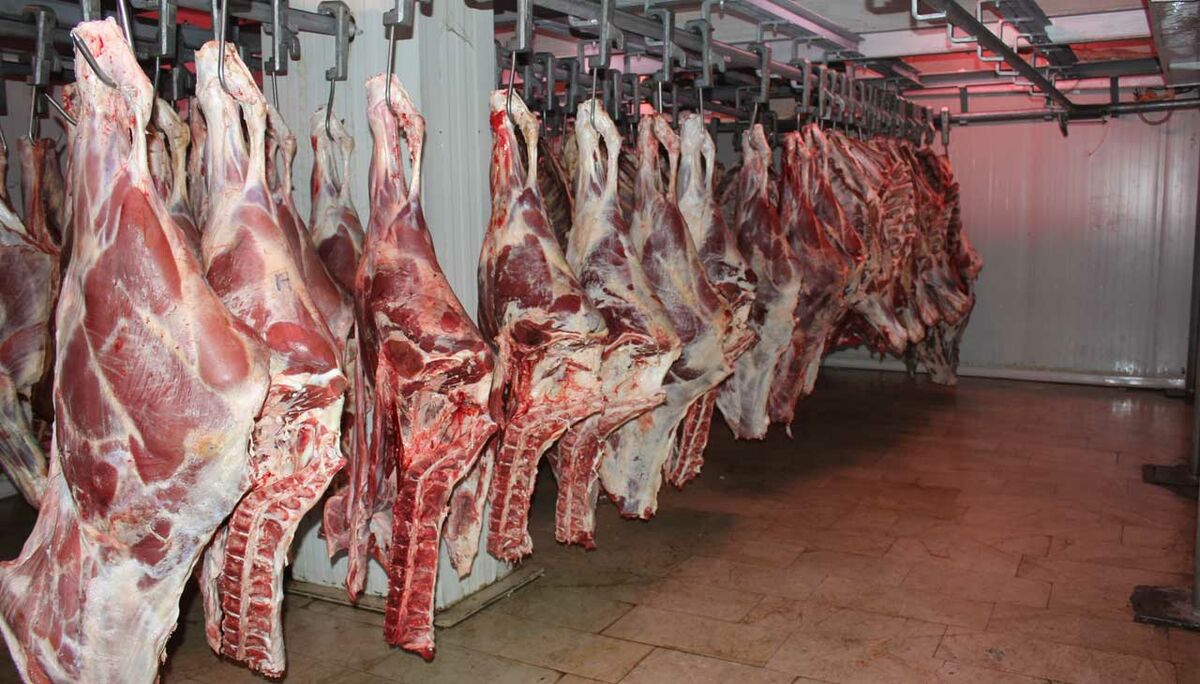 واردات گوشت در بهار دو برابر شد