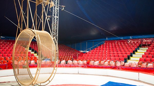 افتتاحیه سیرک بین‌المللی برج میلاد تهران با برنامه‌های هیجان انگیز با هنرمندانی از سراسر دنیا