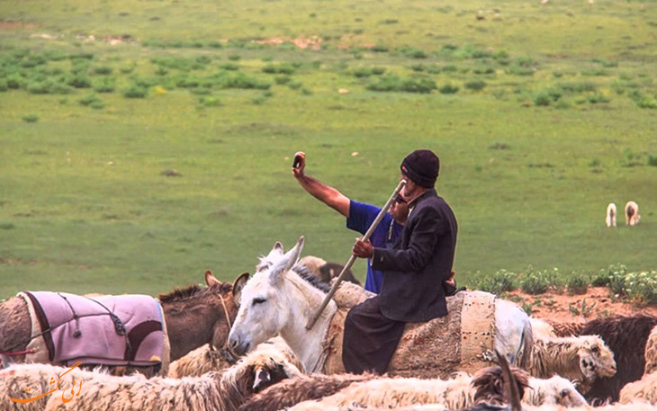 مسیر تردد مناسب برای ۹۴۹ خانوار عشایری آذربایجان غربی مهیا شد