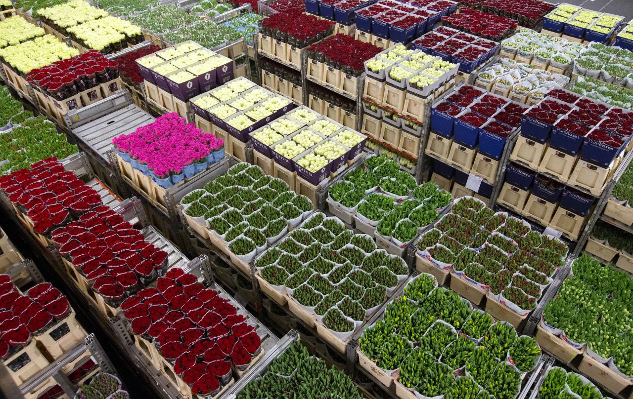 فرصت سوزی در ارزآوری از صادرات گل