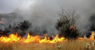 آتش‌سوزی مراتع
