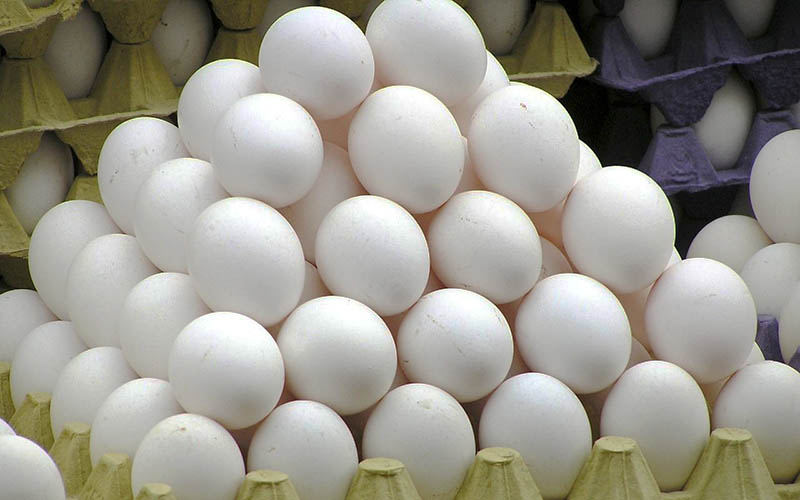 چانه زنی دلالان برای فروش تخم مرغ در مرزها
