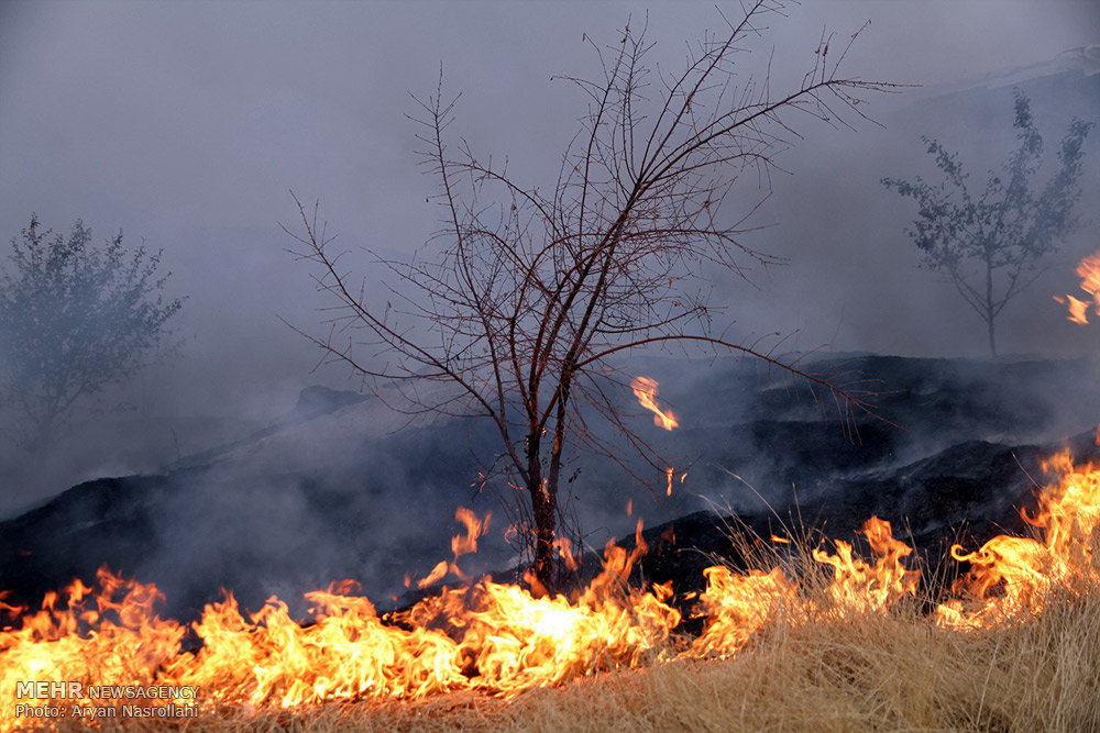 مهار آتش سوزی منابع طبیعی در شهرستان اقلید