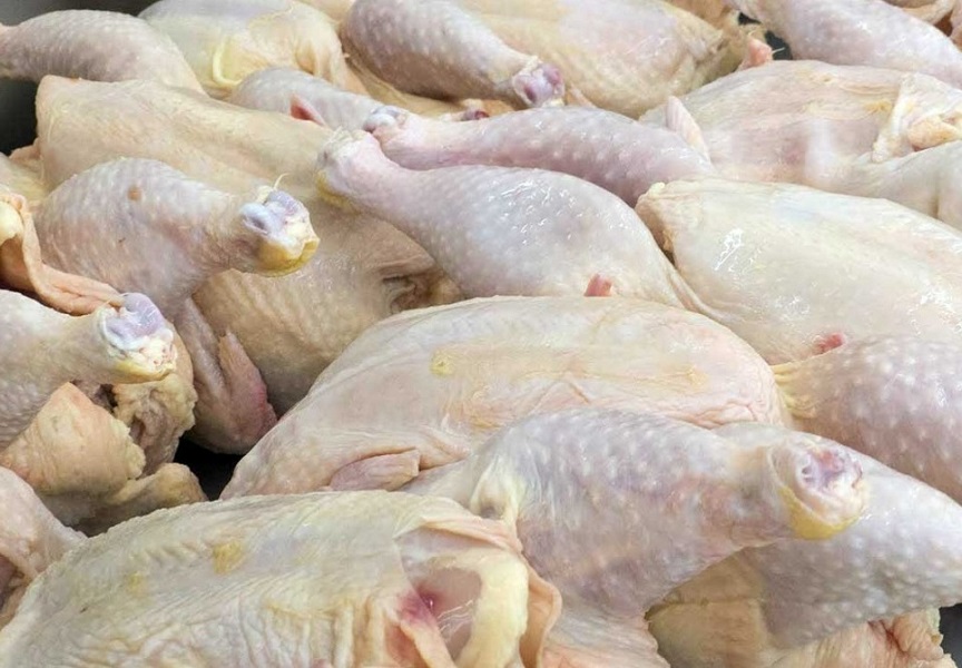 کشف ۹ تن مرغ قاچاق در ابهر