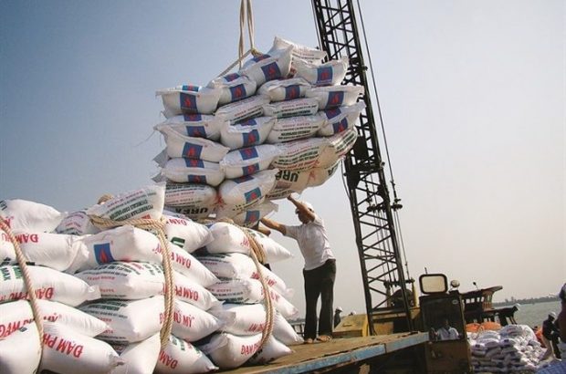رانت در آزادسازی واردات برنج