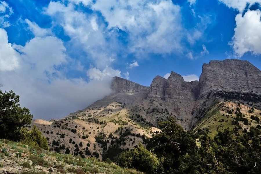 قابلیت تبدیل شدن اُرس سیستان به پارک ملی