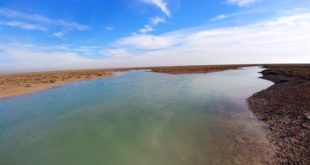 خورهای بندر ماهشهر و 5 جزیره خلیج فارس ثبت ملی شد