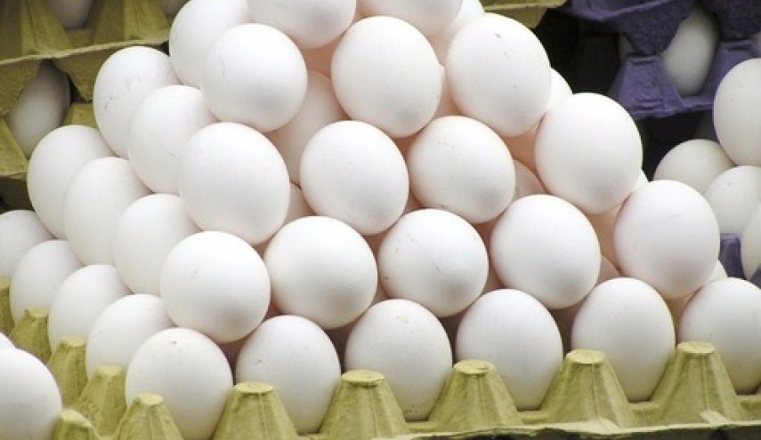 صادرات تخم مرغ به ۱۳ هزار تن رسید