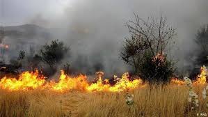 مهار آتش سوزی در ارتفاعات شهرستان دالاهو