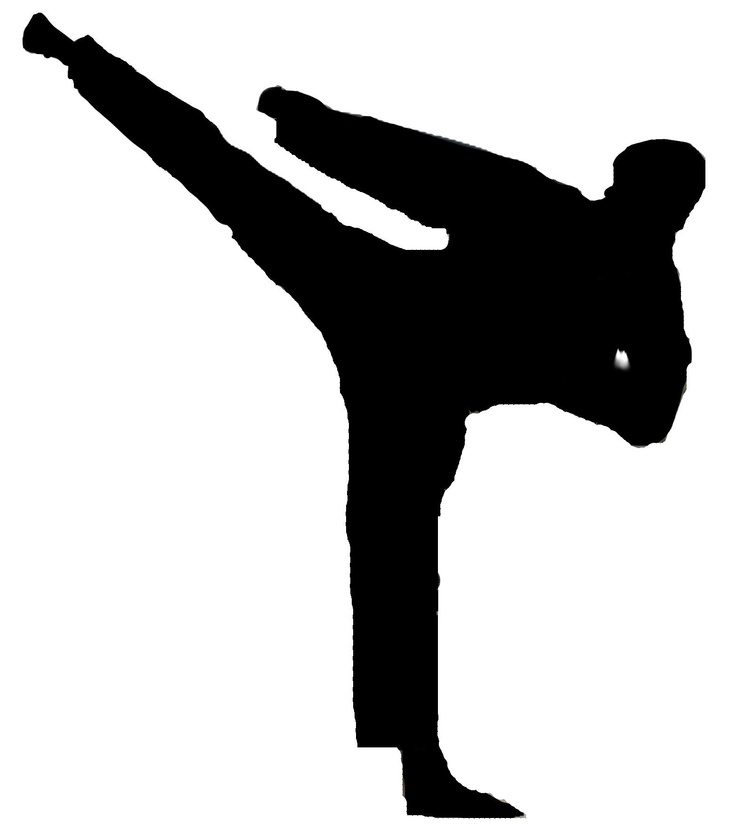 رنکینگ المپیکی کاراته کاها اعلام شد