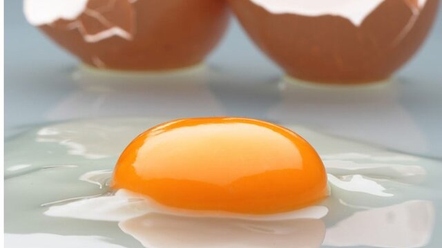 ۳۰۰ تن مازاد تولید تخم مرغ