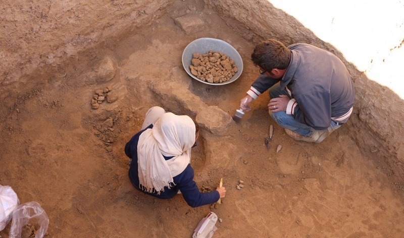 کشف اثر مُهرهای گلی از محوطه تاریخی ریوی در خراسان شمالی